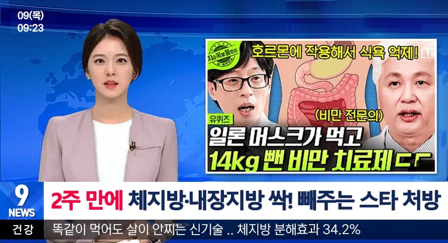 SDLH 브랜드 소개 이미지