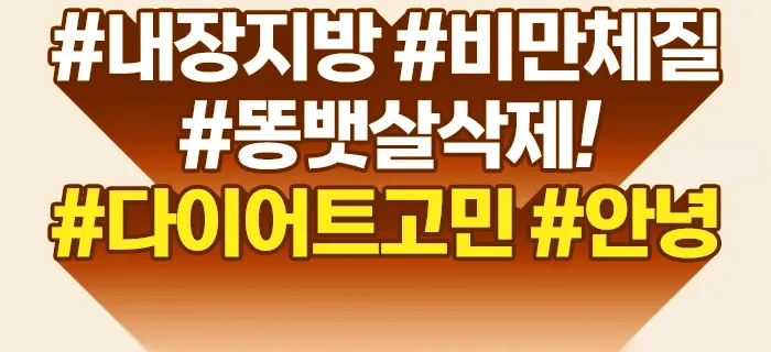 전문가 활동 소개
